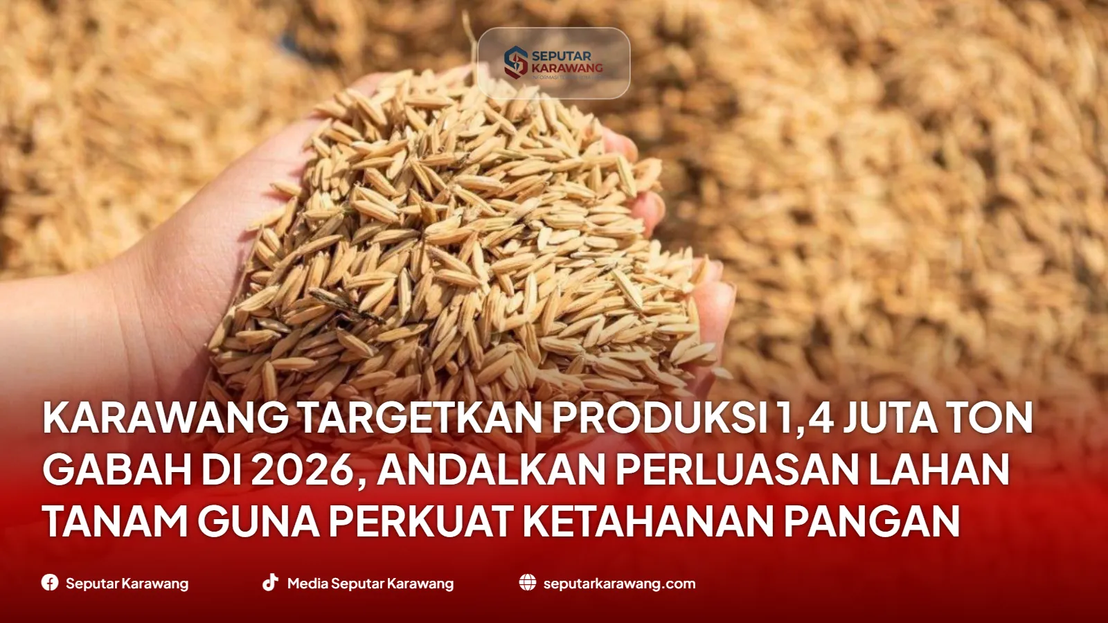 Karawang Targetkan Produksi 1,4 Juta Ton Gabah di 2026, Andalkan Perluasan Lahan Tanam Guna Perkuat Ketahanan Pangan