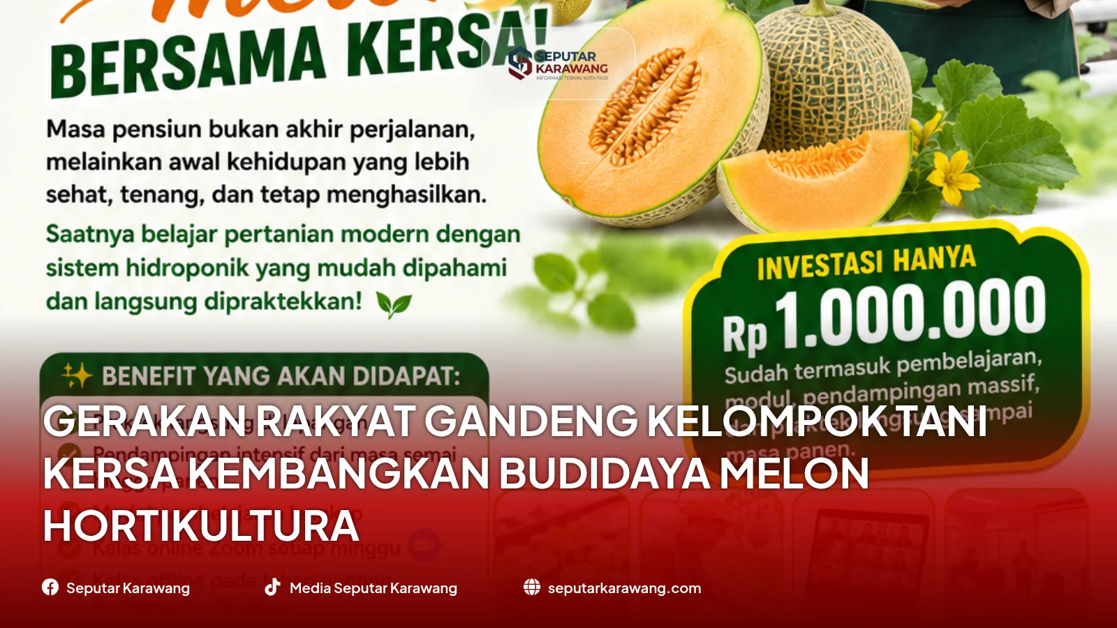 Gerakan Rakyat Gandeng Kelompok Tani KERSA Kembangkan Budidaya Melon Hortikultura - Foto 2