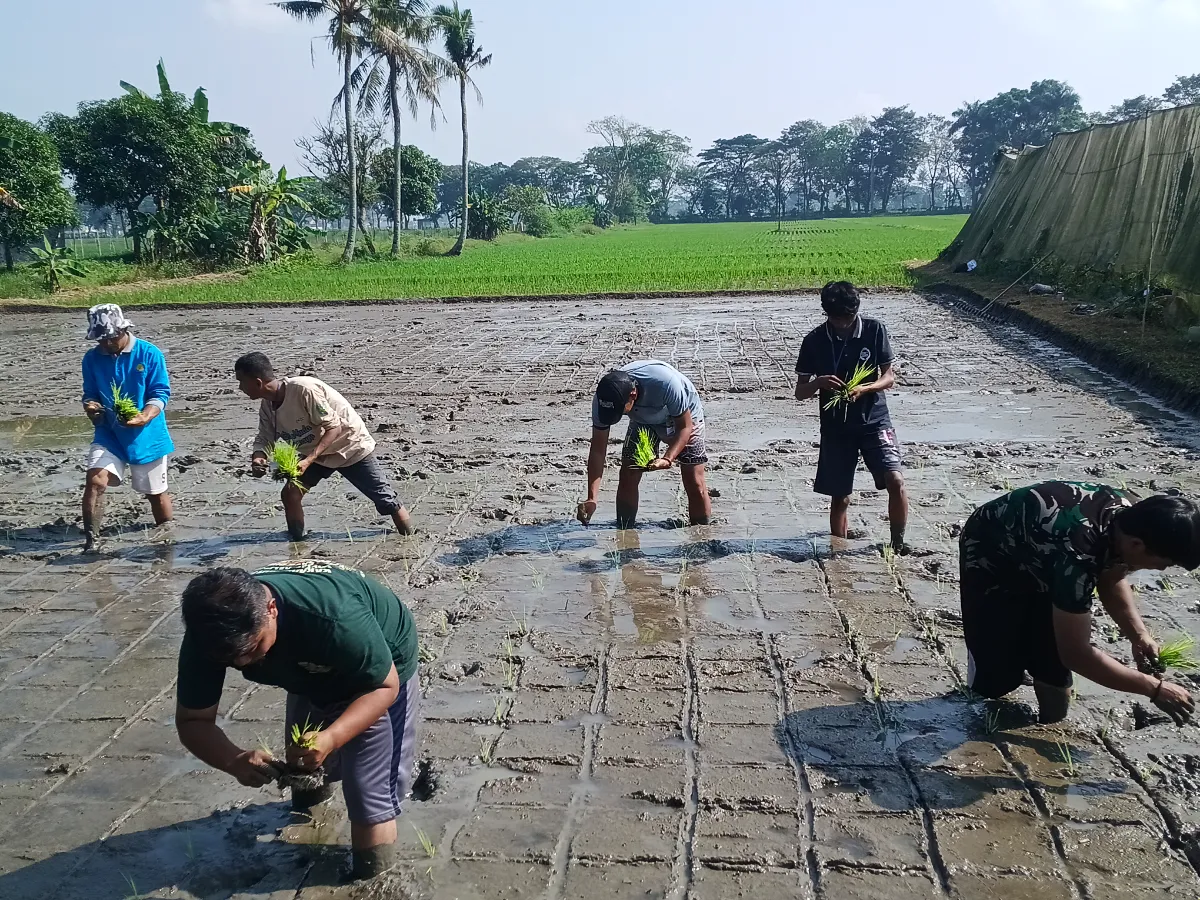 Di Tengah Dominasi Industri, Dua Pemuda Karawang Pilih Jadi Petani Modern - Foto 3