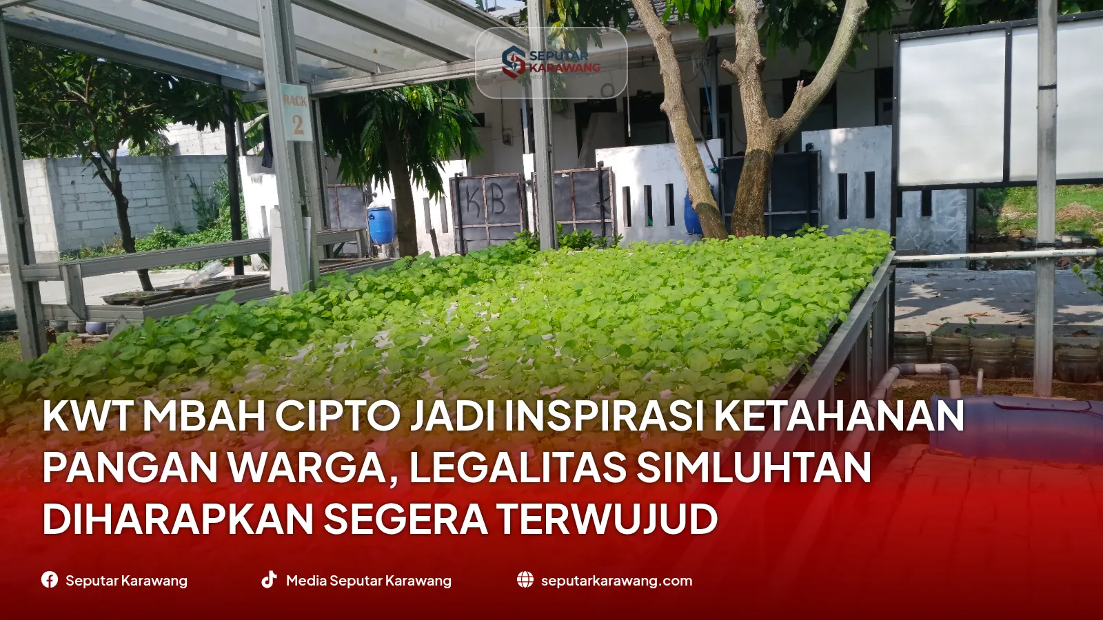 KWT Mbah Cipto Jadi Inspirasi Ketahanan Pangan Warga, Legalitas SIMLUHTAN Diharapkan Segera Terwujud - Foto 2