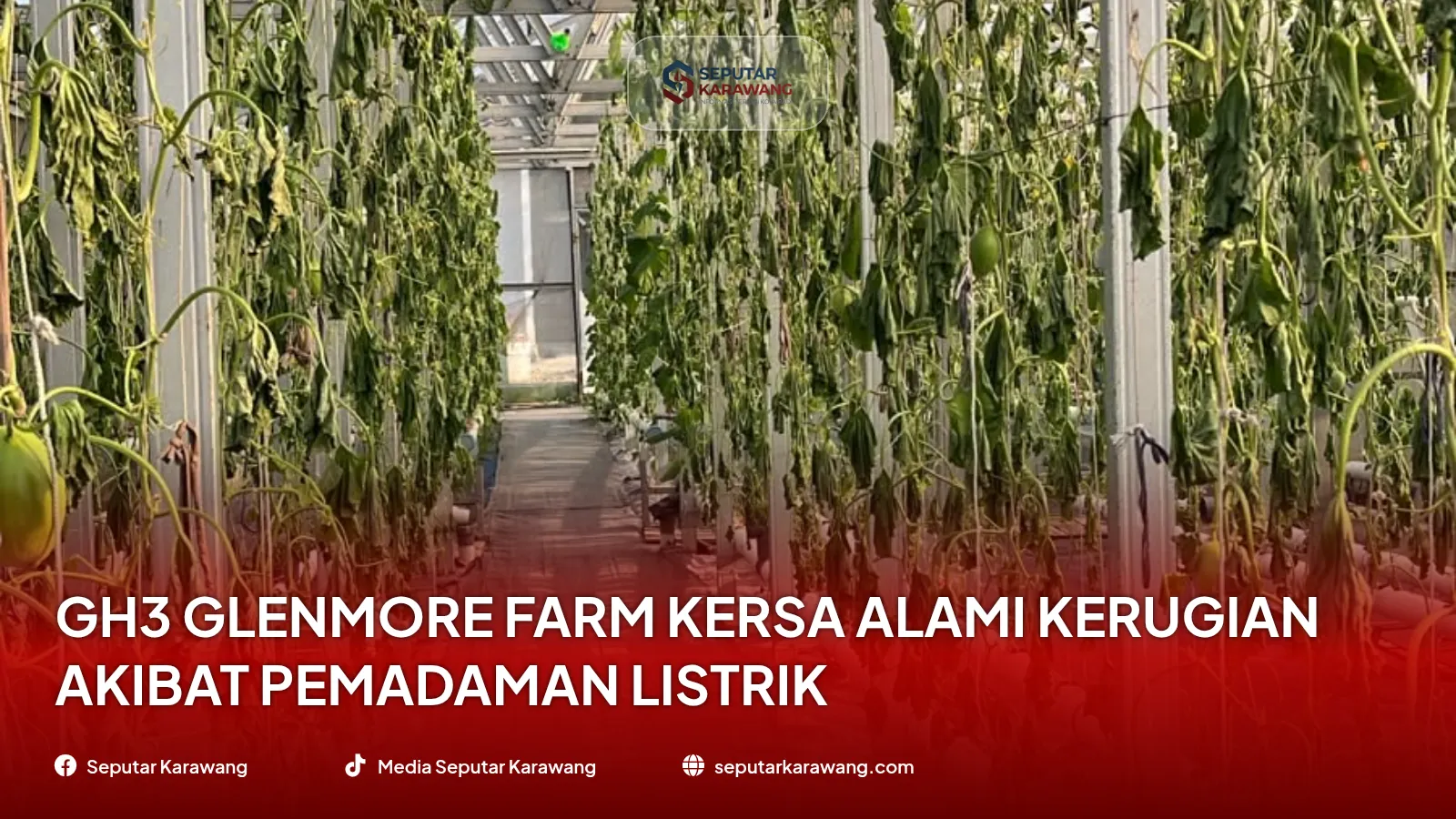 GH3 Glenmore Farm KERSA Alami Kerugian Akibat Pemadaman Listrik