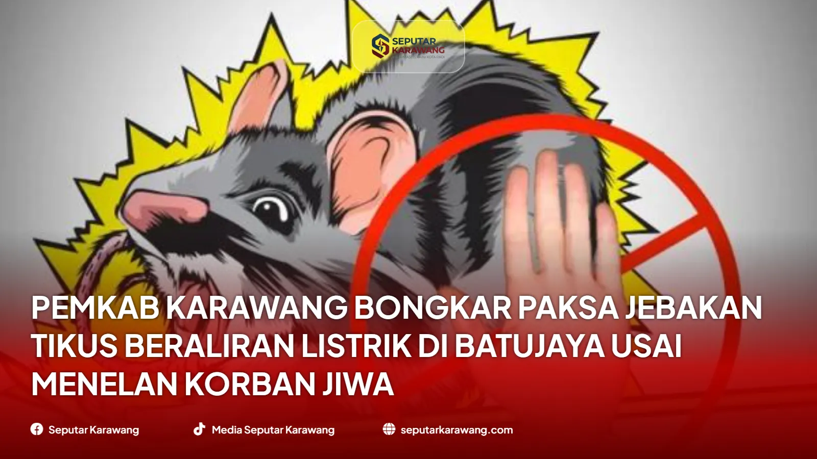 Pemkab Karawang Bongkar Paksa Jebakan Tikus Beraliran Listrik di Batujaya Usai Menelan Korban Jiwa