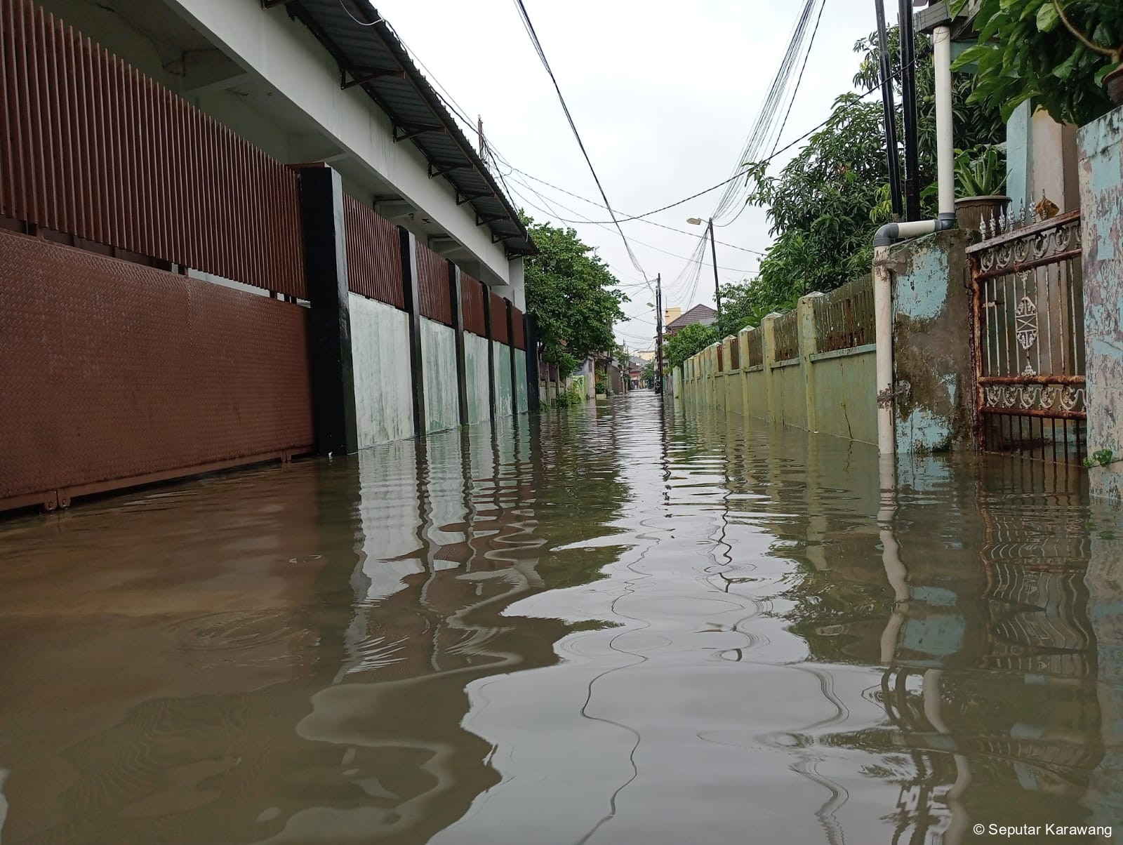 Hujan Sejak Kamis Pagi, Banjir Kembali Rendam Gang Ampera & Gang Ramayana, Karawang Kulon, Karawang Barat, Warga Pertanyakan Fungsi Drainase