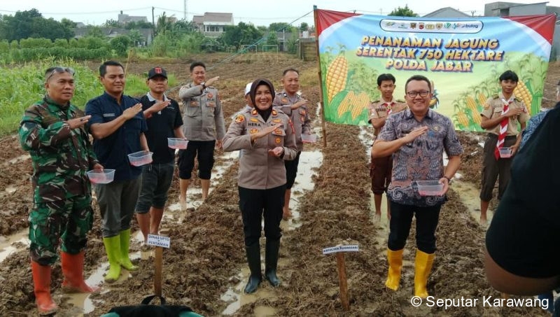 Polsek Purwasari Dukung Ketahanan Pangan Lewat Penanaman Jagung