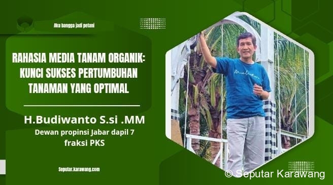 â€‹Rahasia Media Tanam Organik: Kunci Sukses Pertumbuhan Tanaman yang Optimal