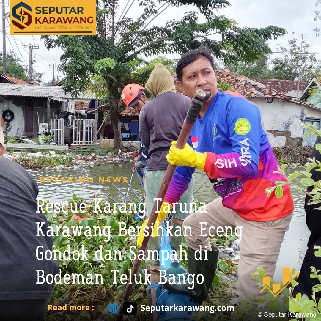 Rescue Karang Taruna Karawang Bersihkan Eceng Gondok dan Sampah di Bodeman Teluk Bango